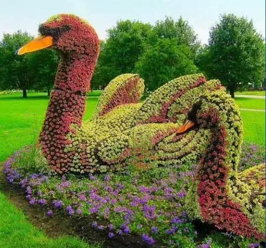 11月4,有群的都看看,太美了,这一辈子见一次值了!