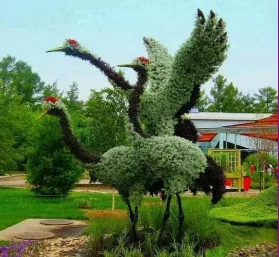 11月4,有群的都看看,太美了,这一辈子见一次值了!