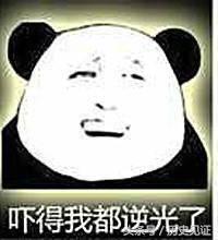 根治虚假医药广告,中国最真实的医药广告