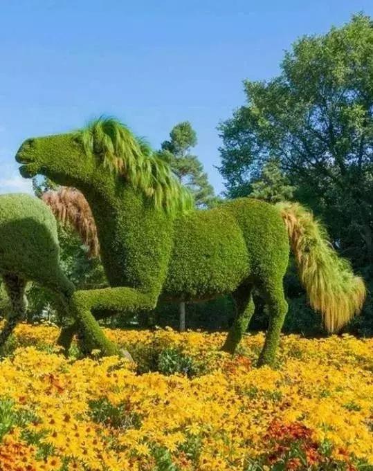 刚出的群主相册,有群的都看看,太美了,这一辈子见一次值了!