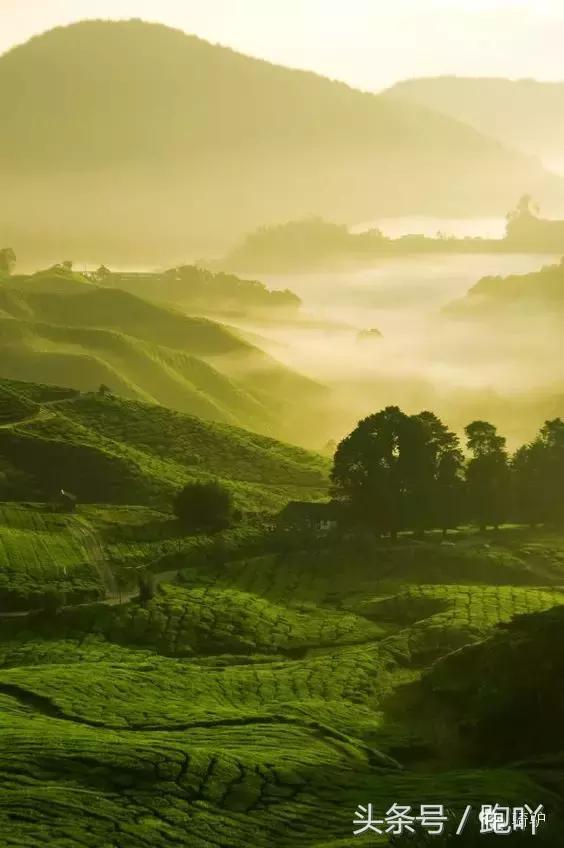 这10大东南亚“免签”仙境，月薪5K轻松走起，光看图已醉！