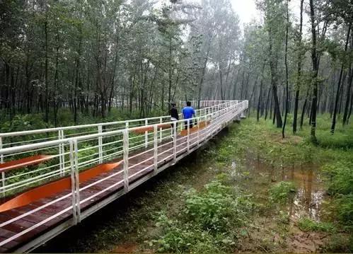 北京各区16处免费森林公园,森林公园北京有几个