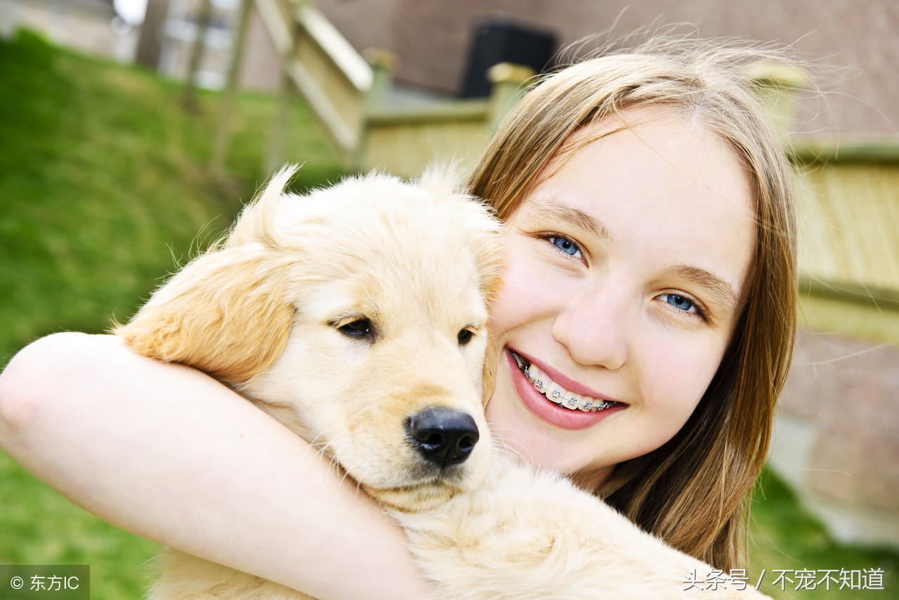 狗狗生理常识大全,狗狗生理常识