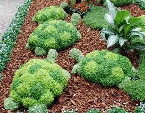 刚出的群主相册,有群的都看看,太美了,这一辈子见一次值了!