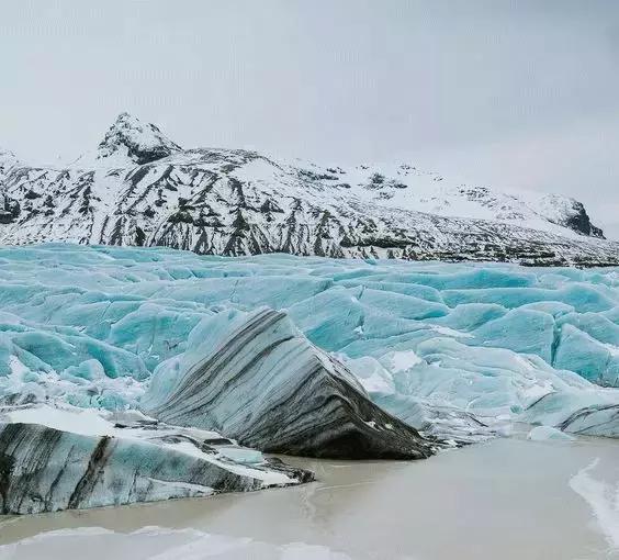 旅游签证被拒护照怎么刷白,旅游签证被拒签怎么办理护照