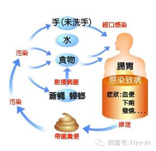 小儿细菌性痢疾并发症,新生儿肠炎日常怎么护理