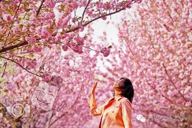 交大，我咋不喜欢你了！