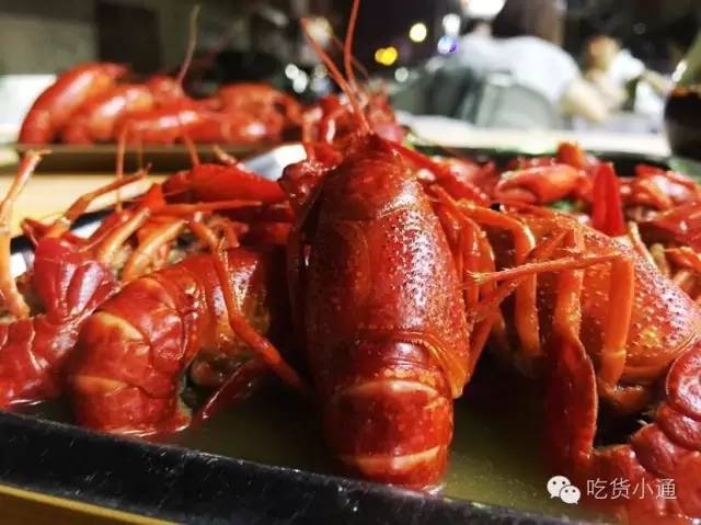 瀹佹尝璞″北缇庨蹇呭幓鐨勫崄瀹跺簵,瀹佹尝鍖椾粦缇庨蹇呭幓鐨勫崄瀹跺簵