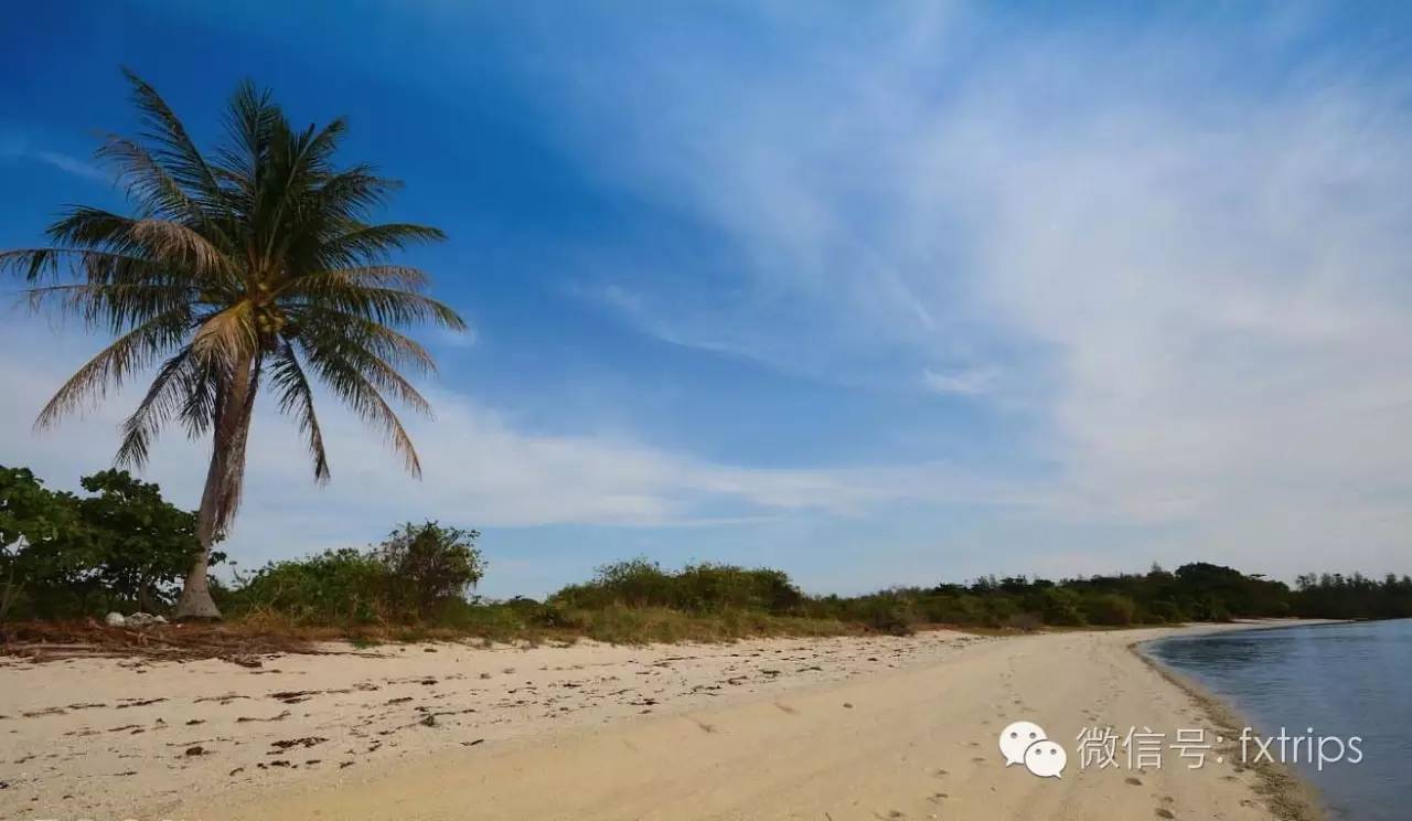 单身汪不哭，这里有属于你们的夜晚