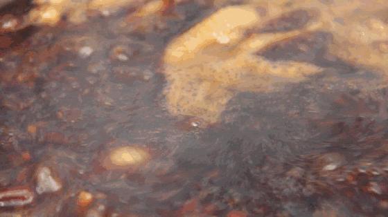 黄晓明来南京开店了？非常火爆还要任性的下午才营业！