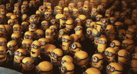 在郑州，选小学一定要知道这些内幕！