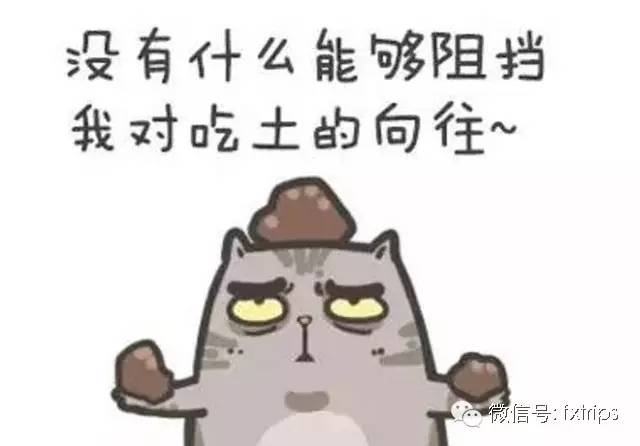 一直以来，你都看错了韩国