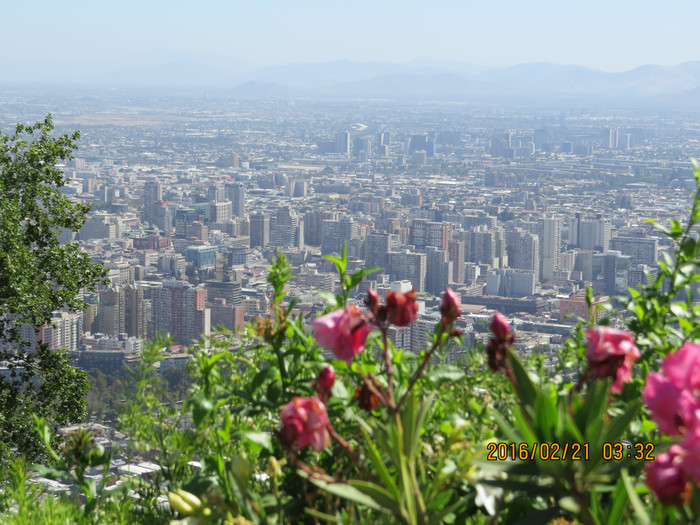去巴西阿根廷秘鲁智利四国游,巴西阿根廷智利秘鲁地图