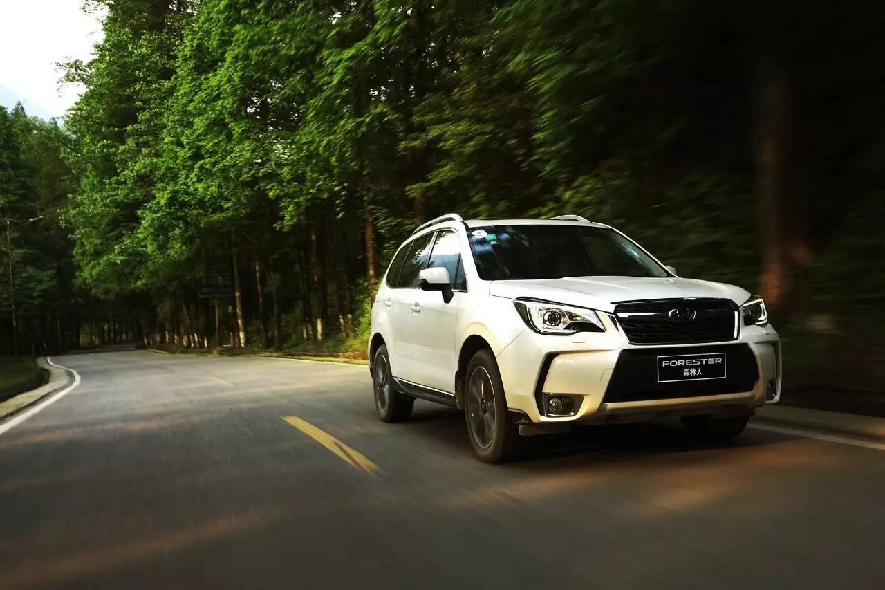 斯巴鲁2.0t森林人油耗2016款,无印良品森林系