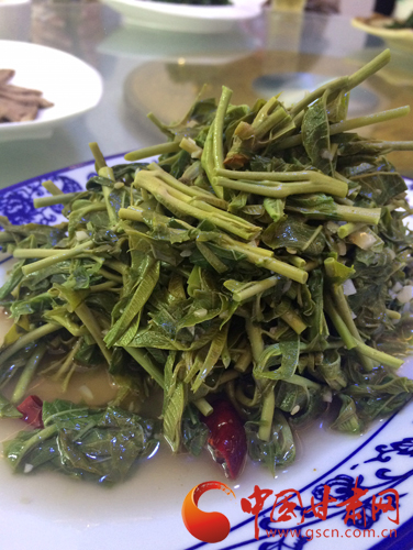 来一场说走就走的旅行第一站陇南,身未动心已远演唱