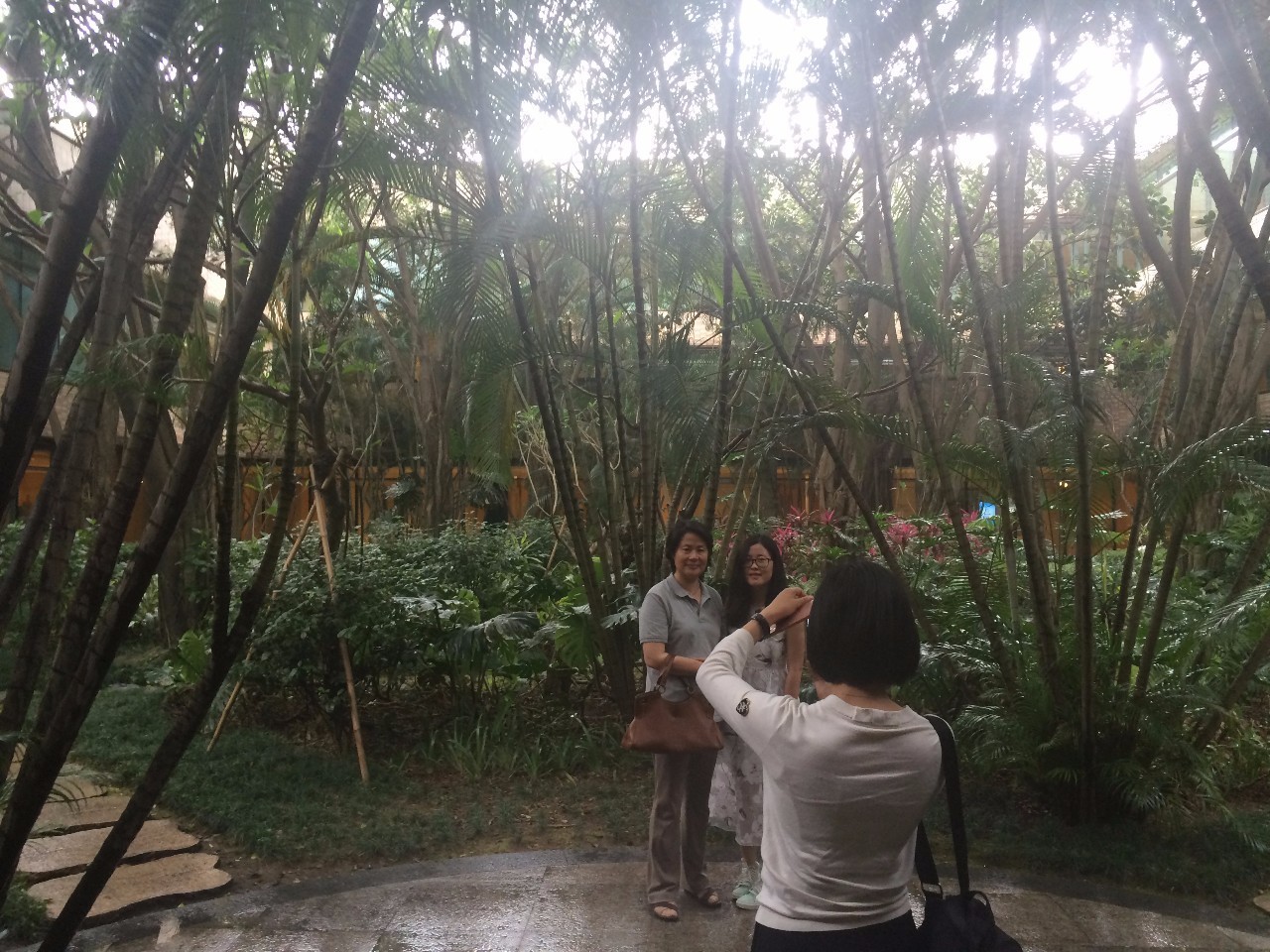 山东泰山管理研修学院的课程总结,泰山管理学院实战mba