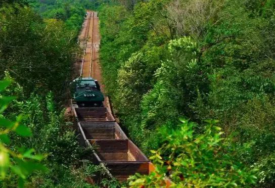 北京各区16处免费森林公园,森林公园北京有几个