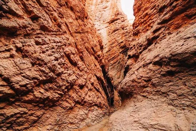 我们来自五湖四海原唱,我们来自于五湖四海全文