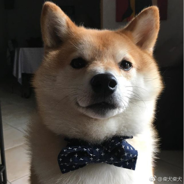 sli总决赛夺冠,sli绝地求生全球群星联赛