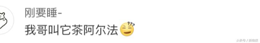 那些因为口误闹出的笑话运动员,你们班有哪些因为口误造成的笑话