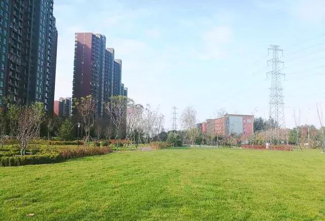 海淀后花园,海淀后花园小院