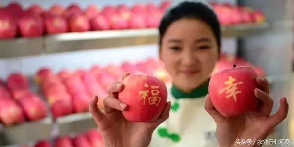 农产品直播技巧和策略,直播卖农产品实用的5个技巧