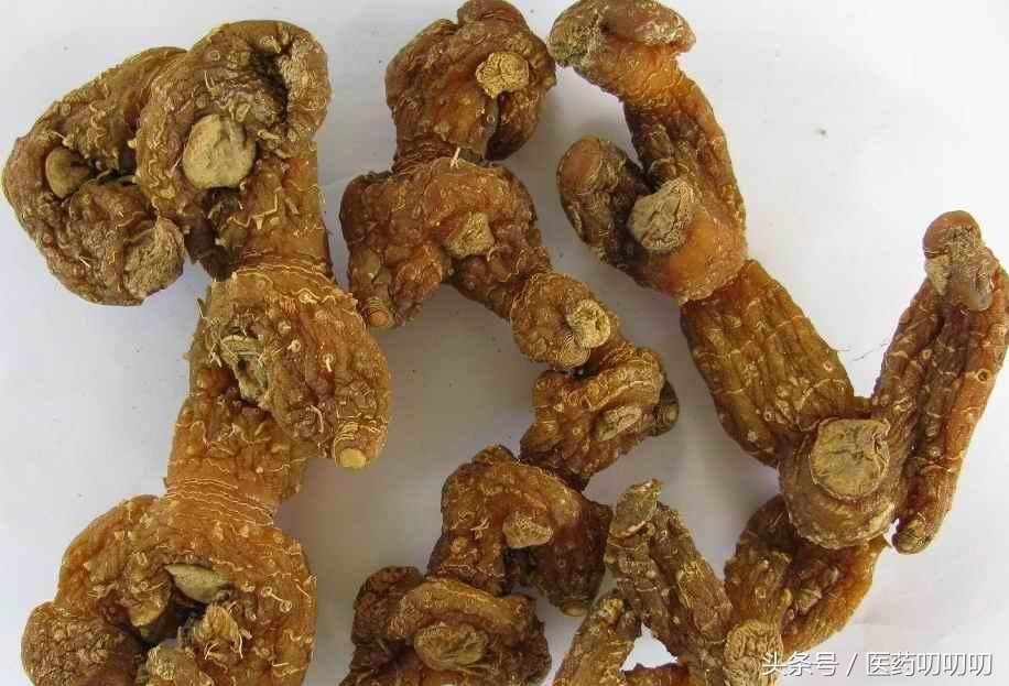 黄精治脾虚的服用方法,黄精治疗肺气虚