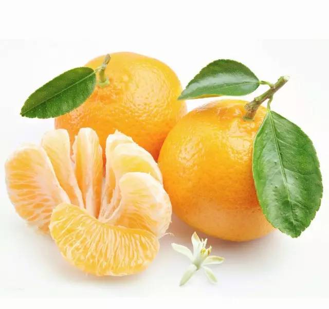 瓜果蔬菜简笔画大全最简单漂亮,儿童简笔画水果5-7岁简单入门