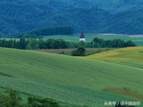 信不信由你｜深仇大恨不是不可以解的，取决能否用真诚来感动对方