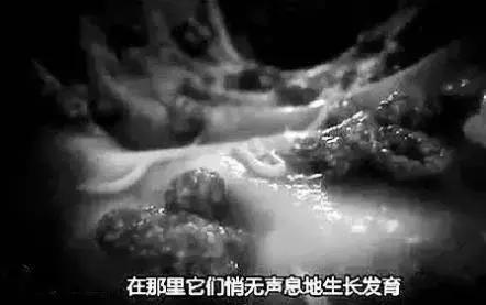 用错药注意事项,驱虫药用错了怎么办