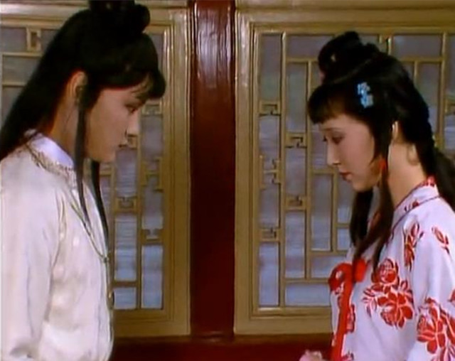 贾宝玉如何安慰林黛玉病了,贾宝玉生病林黛玉看望