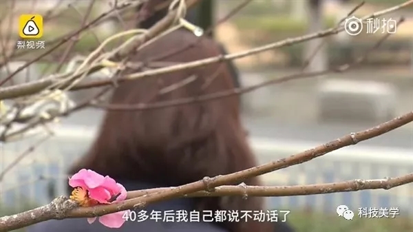 iphone多次输错密码解决方法,iphone密码输错太多次怎么办