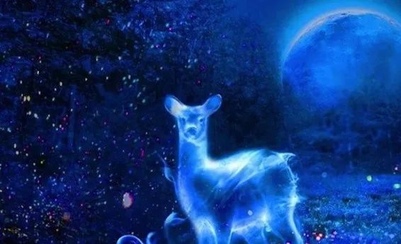 加拿大奇幻森林,加拿大魔法森林风景