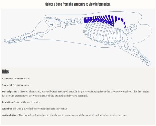 强烈安利视频大全,墙裂安利种草系列
