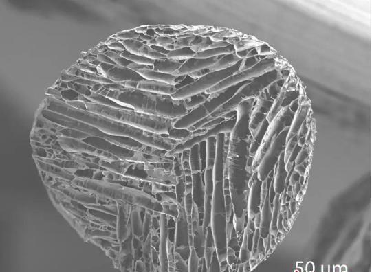 神奇！浙大教授造“北极熊”马甲，成功从红外线成像设备中隐身