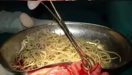 用错药注意事项,驱虫药用错了怎么办