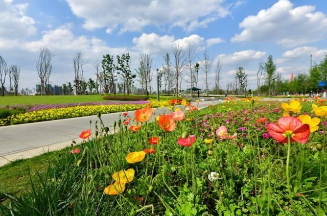 哈尔滨新建大项目,哈尔滨好消息