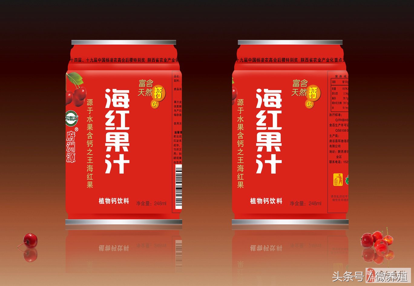 2108年农民创业致富项目推荐-海红果种植，是科学，不是*局骗**