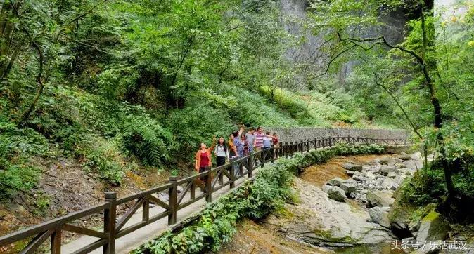 武汉春游两日游攻略大全,武汉春游适合去哪里玩