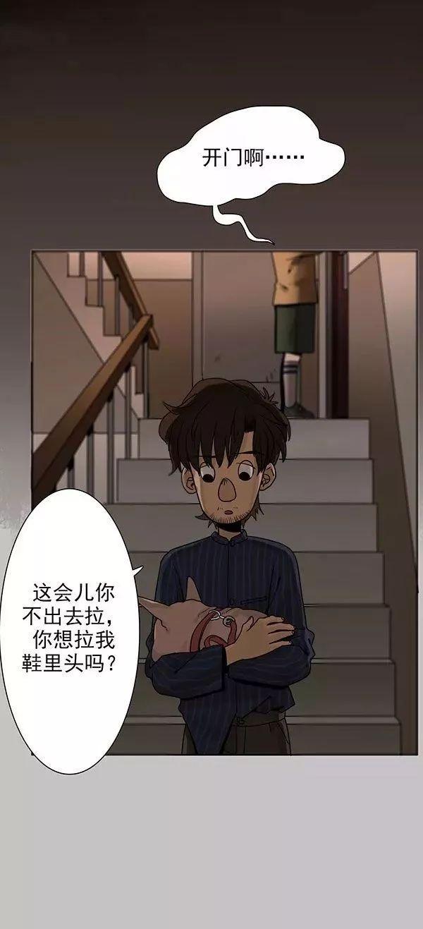 猫和铲屎官的日常生活漫画,铲屎官的搞笑漫画