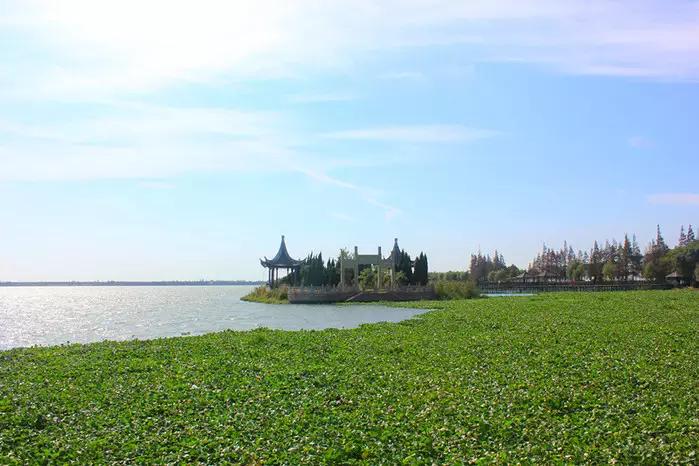 夏至未至结局到底有多耐人寻味,夏至未至隐藏情侣