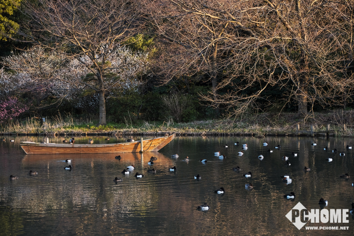 xh1富士拍夜景,x-h1富士