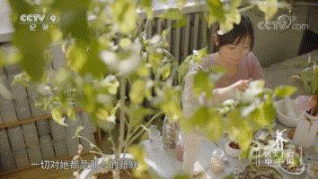 中药口红的营销策略,中药成分的护肤品微商