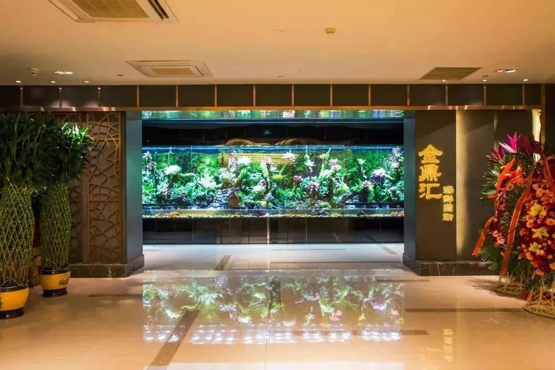 天津高档海鲜自助波龙帝王蟹,海鲜自助天津帝王蟹