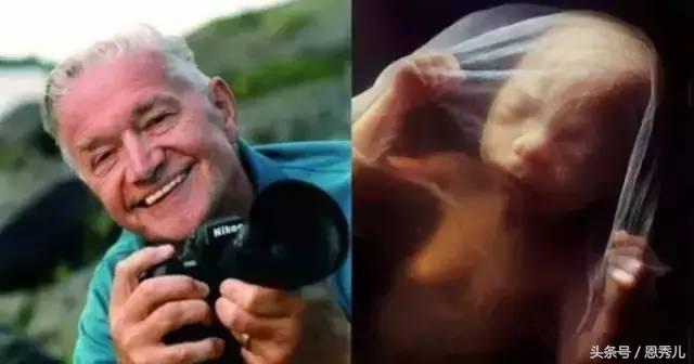 摄影大师花费10年,用镜头记录精子与卵子结合并发育成长的过程!