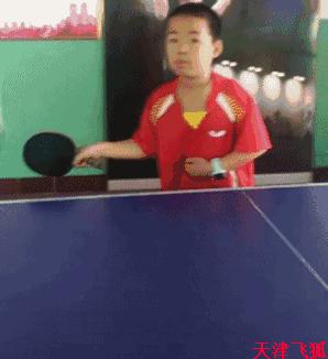 乒乓球系统训练计划明细表,乒乓球基础教练教学书籍