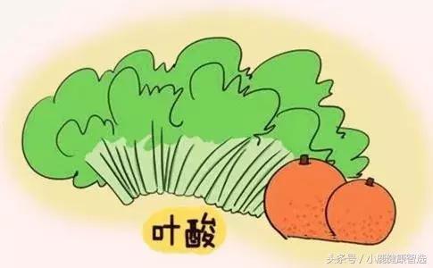 叶酸榜单,叶酸数据分析