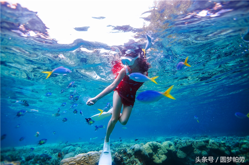 去帕劳旅游自由行行程,帕劳旅游景区行程