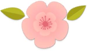 赛车女车手相亲,女赛车手相亲