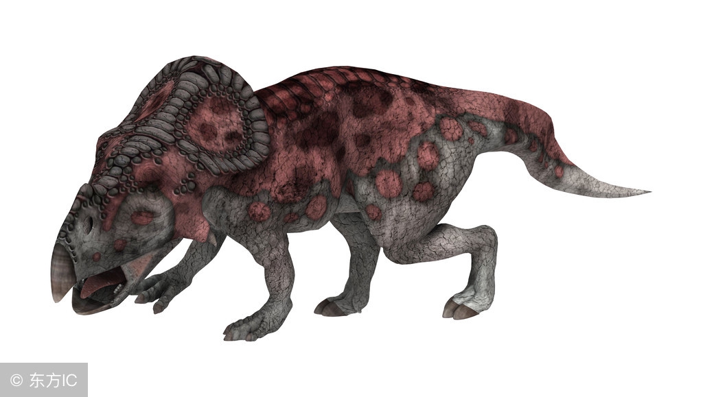 宝宝喜欢恐龙的原因 (3-6岁喜欢的恐龙)